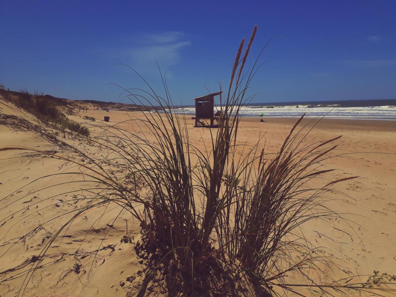 Quedateaqui Punta Del Diablo Bagian luar foto